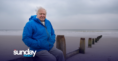 David Attenborough's ‘Ocean’ A Wake-Up Call From The Sea