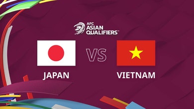 Japan Vs Vietnam Highlights Network Ten